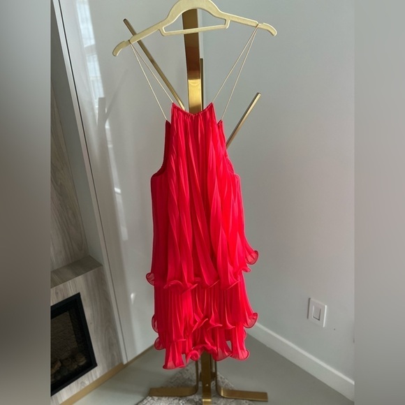 Coral Pleated Dress - Picture 12 of 12